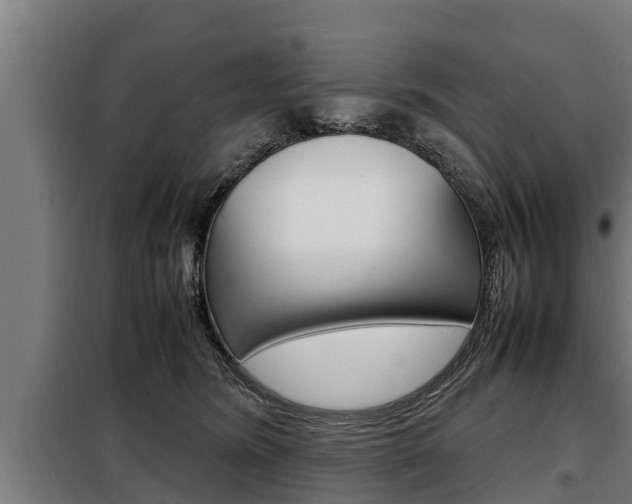 X0000098070420200804040732