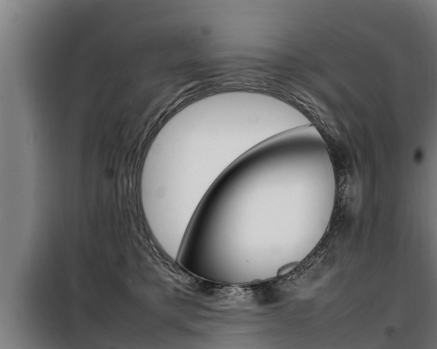 X0000098070421200804040732