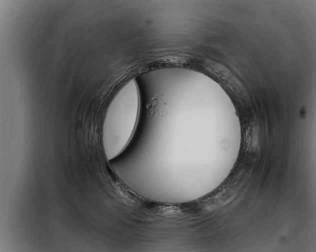 X0000098070424200804040732