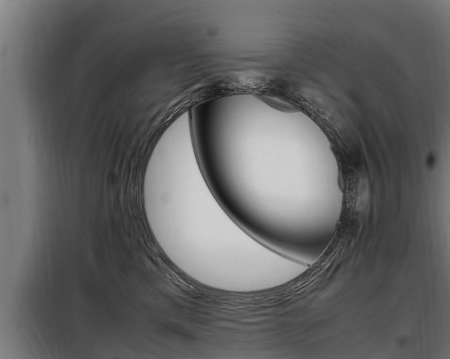 X0000098070425200804040732