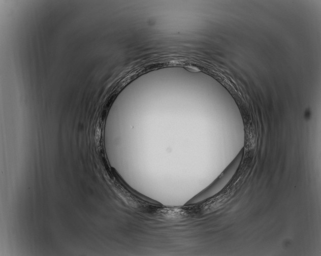 X0000098070427200804040732