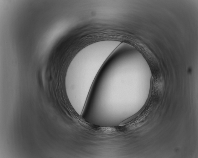 X0000098070429200804040732