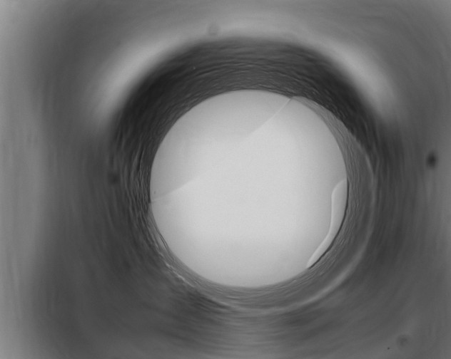 X0000098070431200804040732