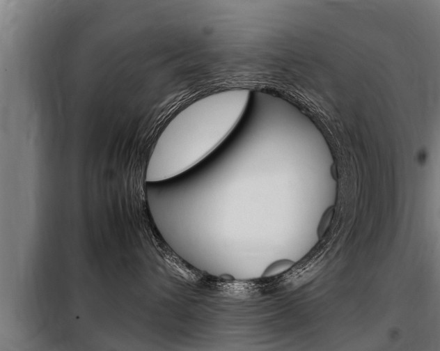 X0000098070432200804040732