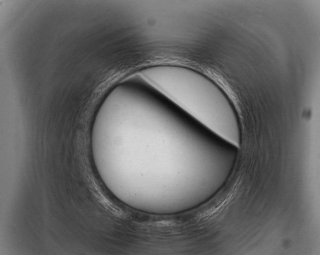 X0000098070433200804040731