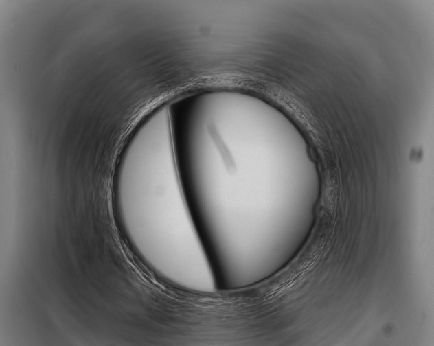 X0000098070434200804040731