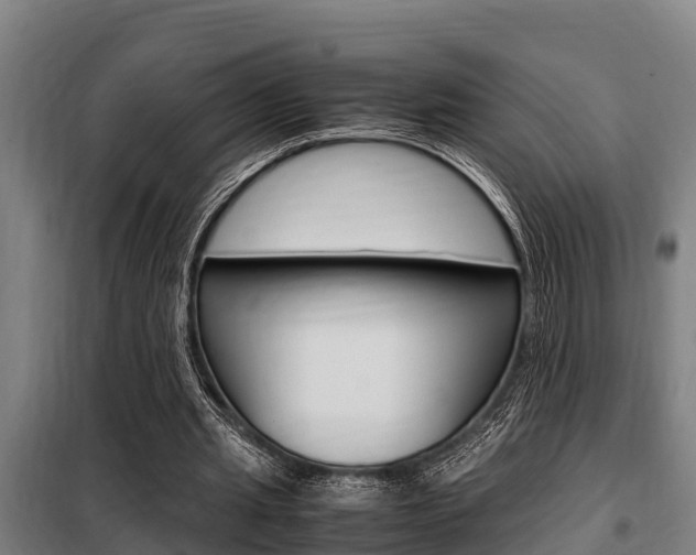 X0000098070437200804040731