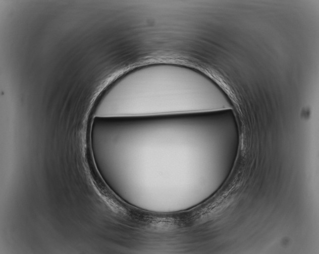 X0000098070438200804040731