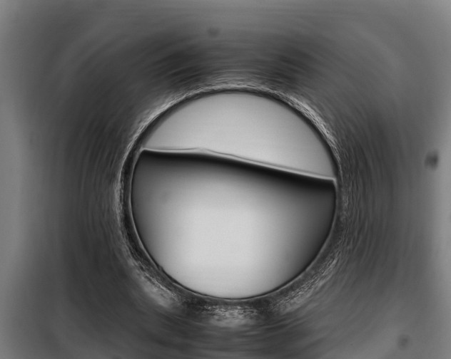 X0000098070439200804040731