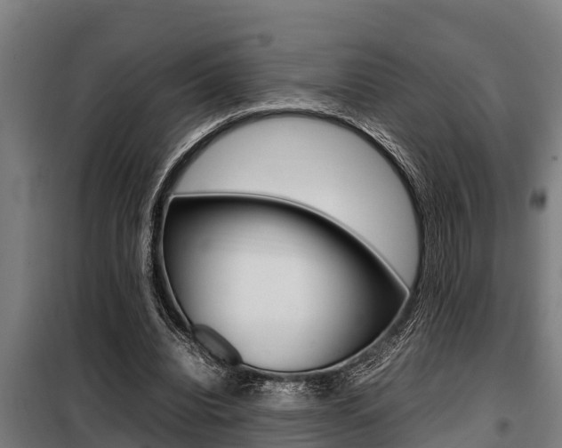 X0000098070440200804040731