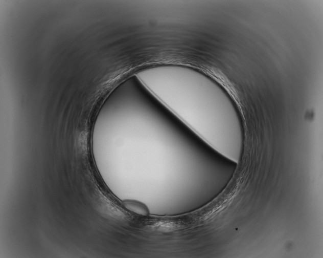 X0000098070441200804040731