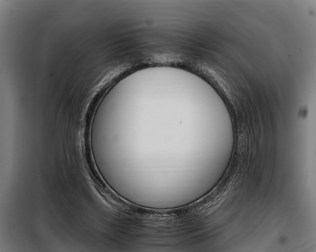 X0000098070443200804040731