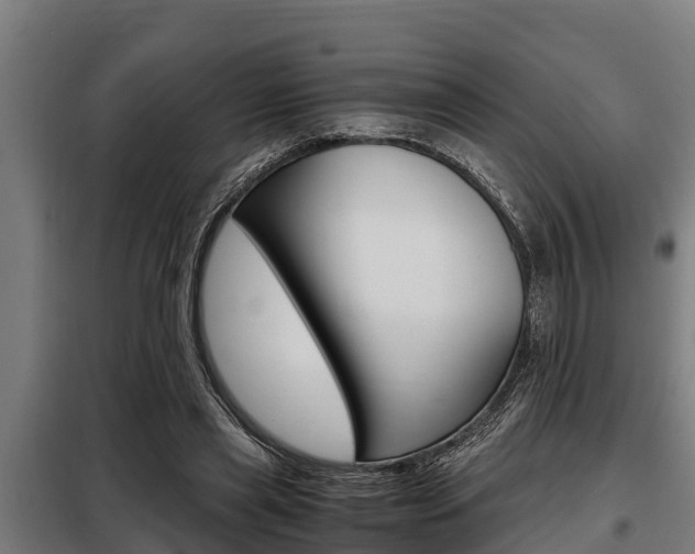 X0000098070445200804040731