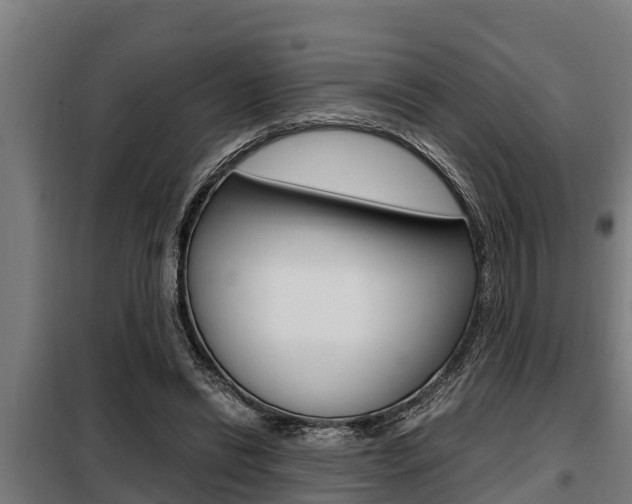 X0000098070446200804040731