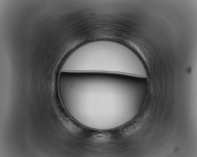 X0000098070447200804040731