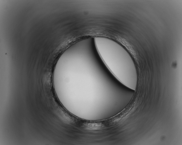 X0000098070449200804040731
