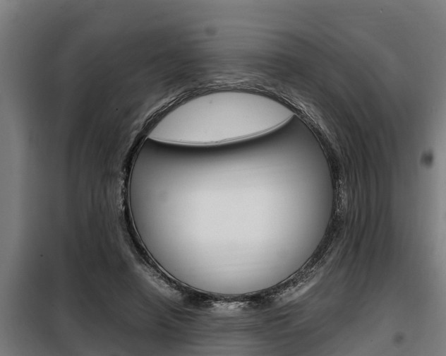 X0000098070450200804040731