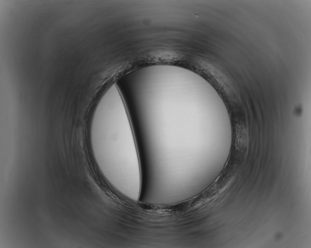 X0000098070451200804040731