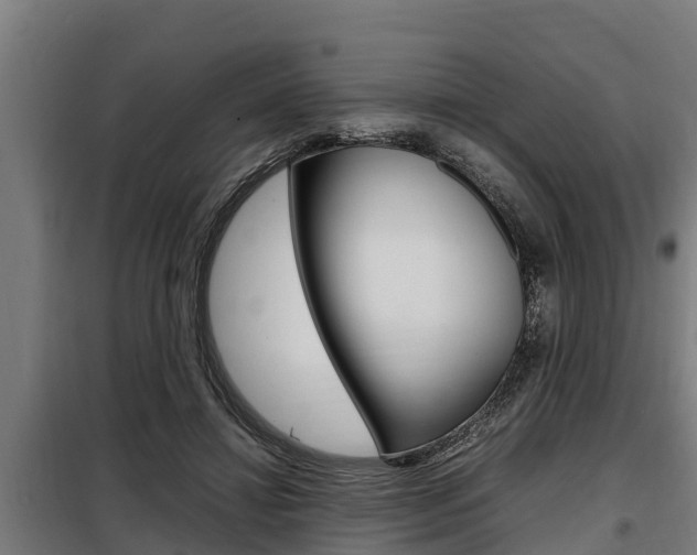 X0000098070452200804040731