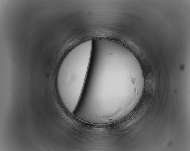 X0000098070454200804040731