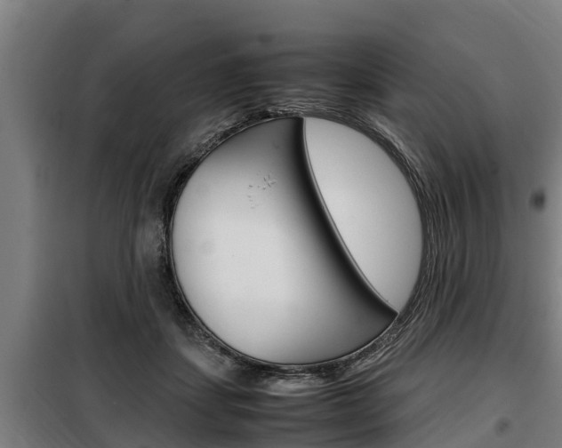 X0000098070459200804040731