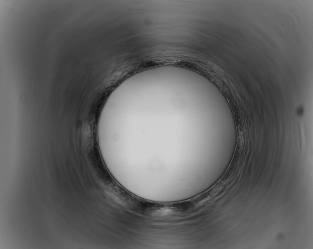 X0000098070460200804040731