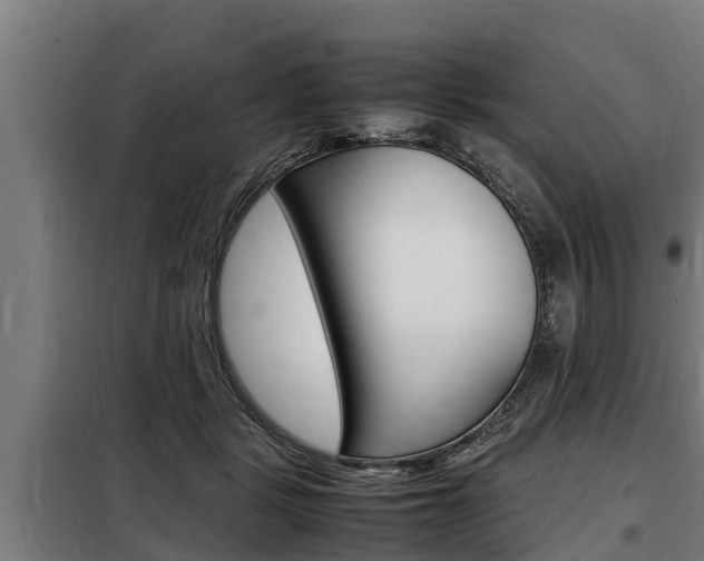 X0000098070461200804040731