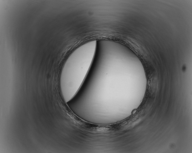X0000098070462200804040731