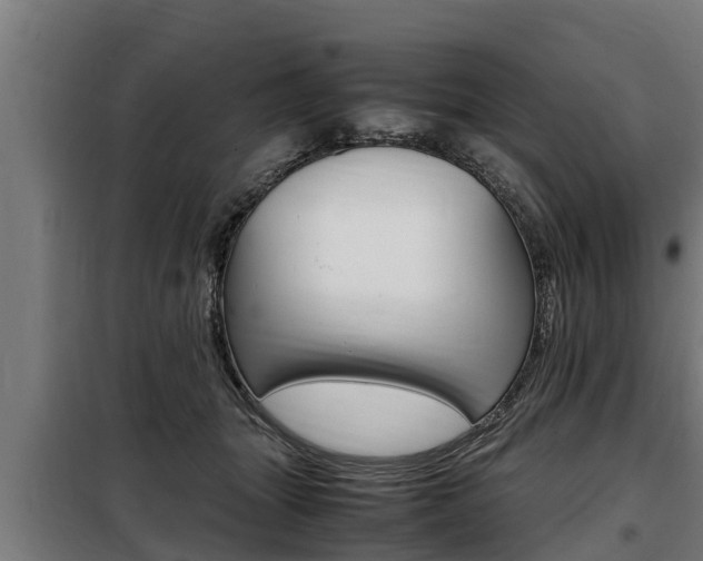 X0000098070463200804040731