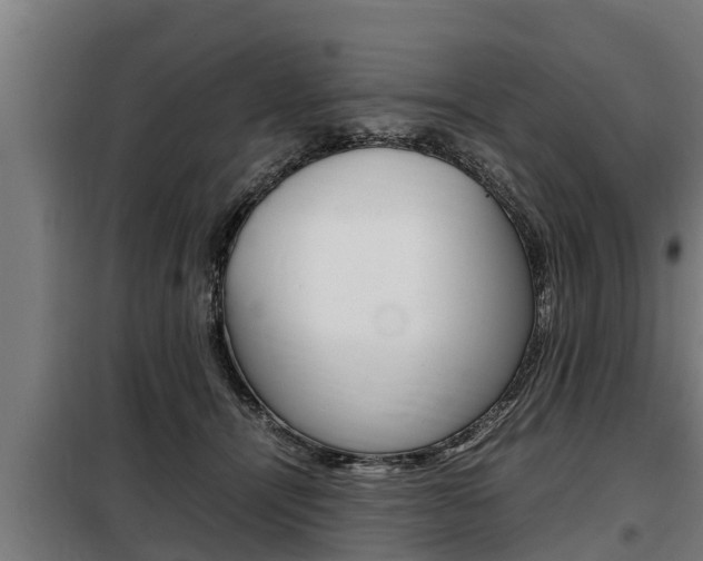 X0000098070464200804040731