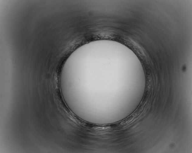 X0000098070465200804040731