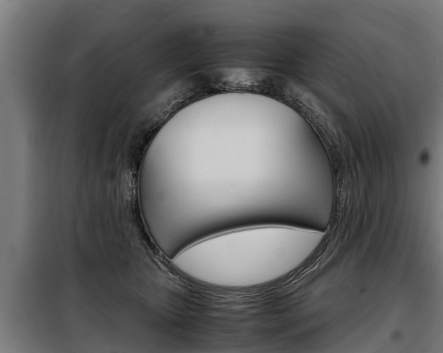 X0000098070467200804040731