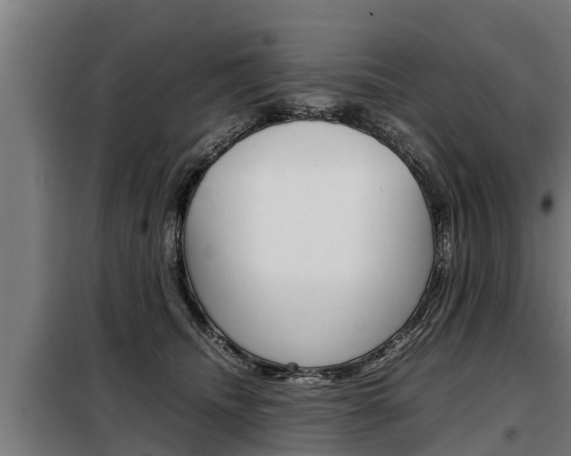 X0000098070468200804040731