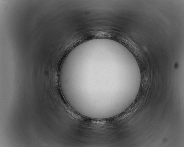 X0000098070469200804040731