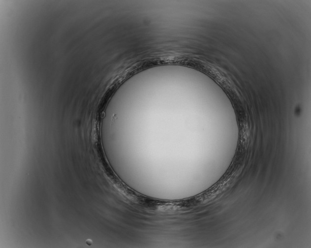 X0000098070470200804040731