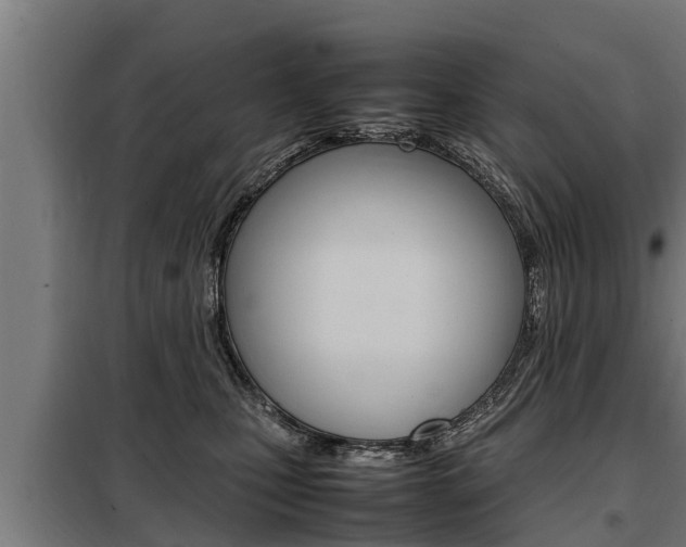 X0000098070471200804040731