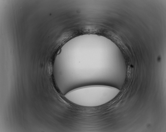 X0000098070474200804040732