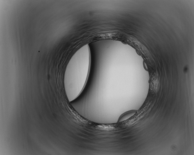 X0000098070477200804040732