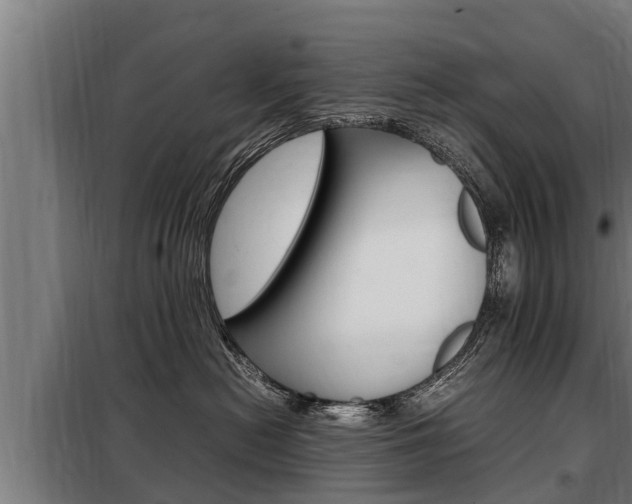 X0000098070478200804040732