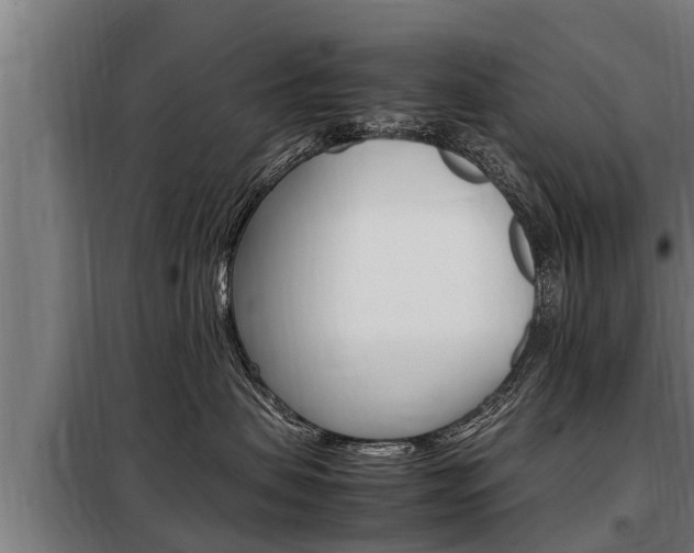 X0000098070479200804040732