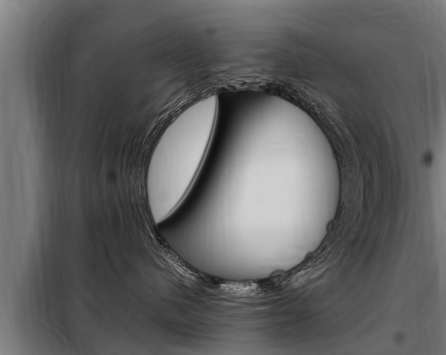 X0000098070480200804040732
