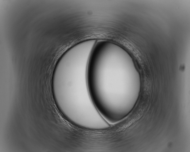 X0000098070481200804040731