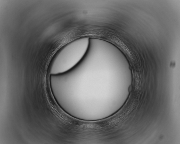 X0000098070482200804040731