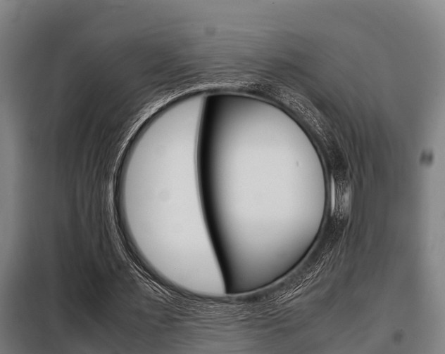 X0000098070483200804040731