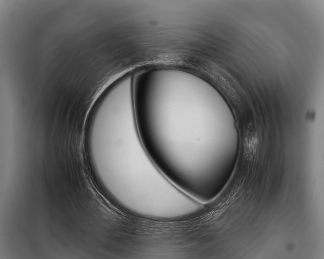 X0000098070484200804040731