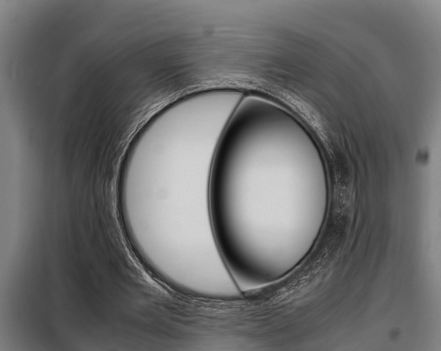 X0000098070485200804040731