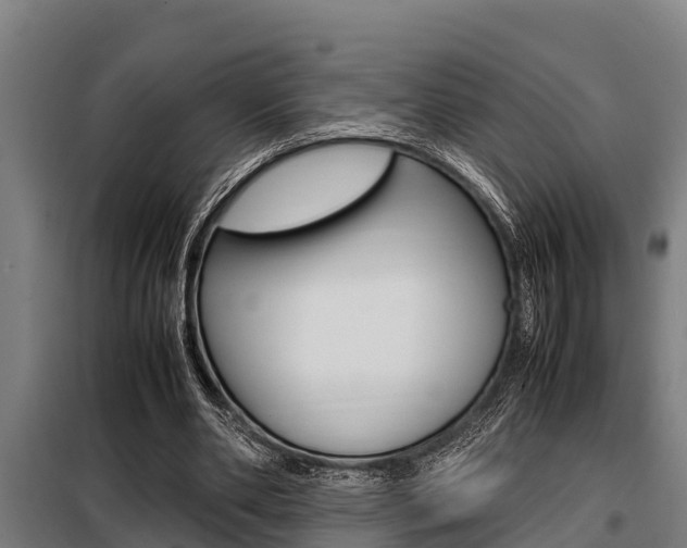 X0000098070486200804040731