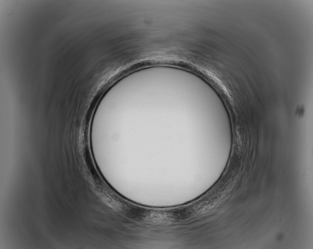 X0000098070487200804040731