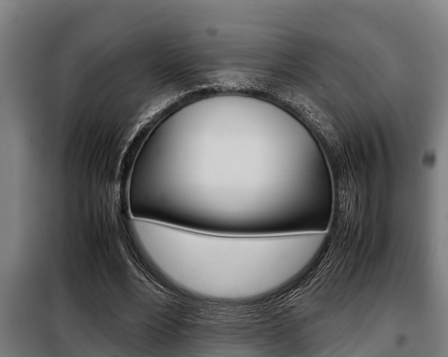 X0000098070488200804040731