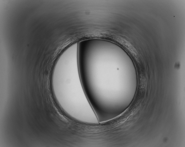X0000098070489200804040731